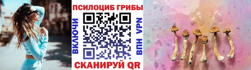 Псилоцибиновые грибы мухоморы Чегем